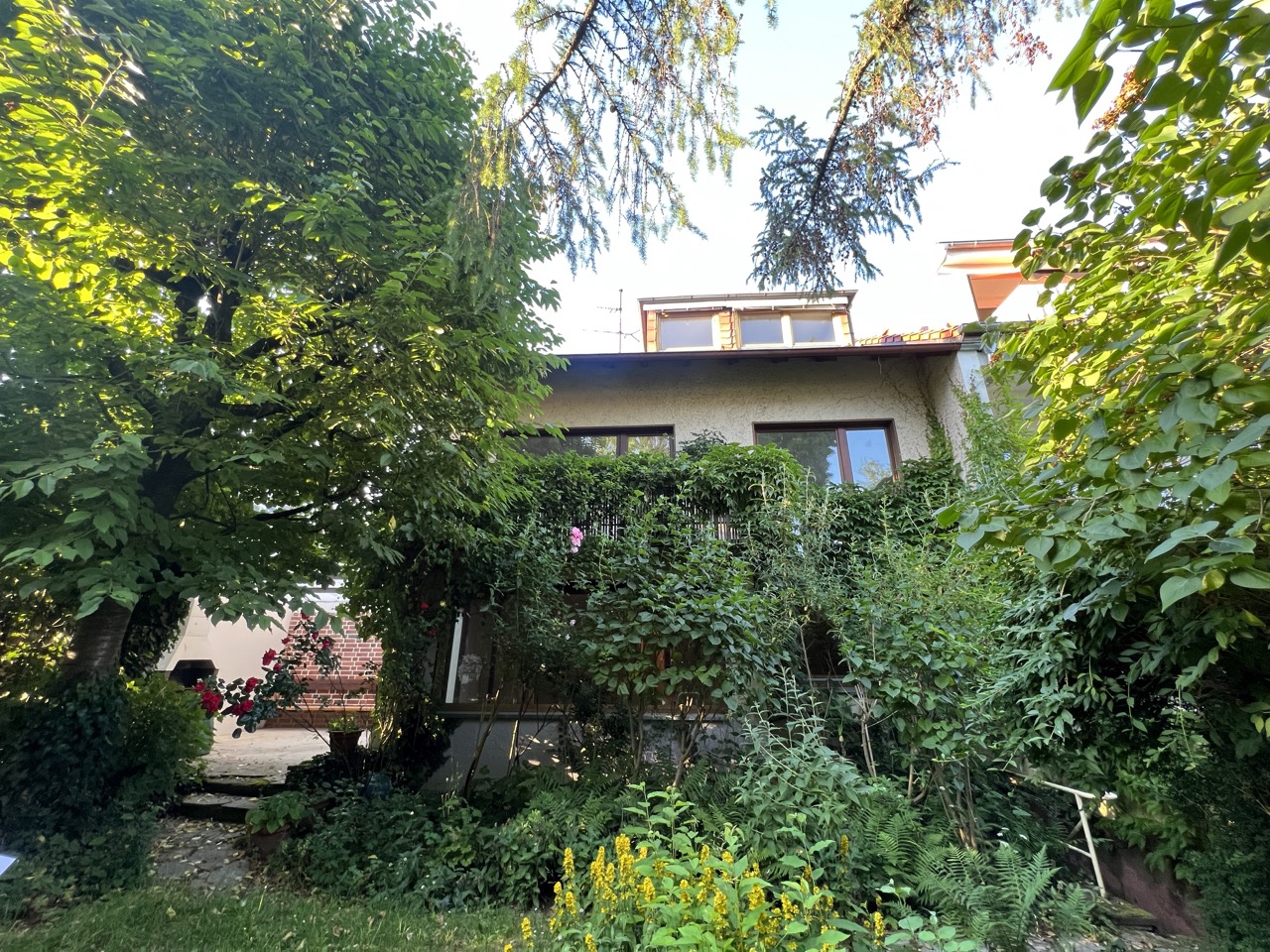 Ansicht Reihenhaus hinten
